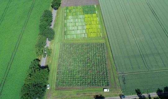 proefveld scheemda