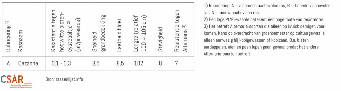 schema_cezanne