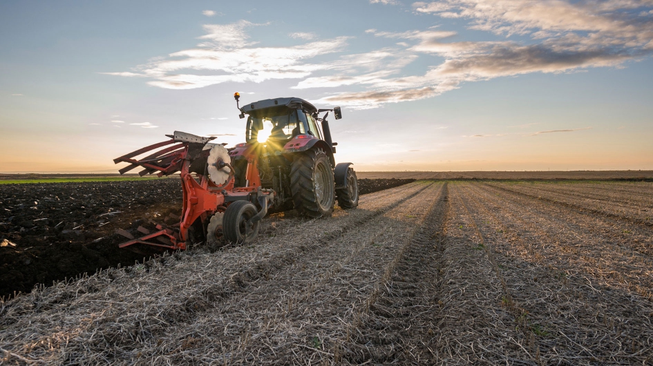 vandinter healthy soil