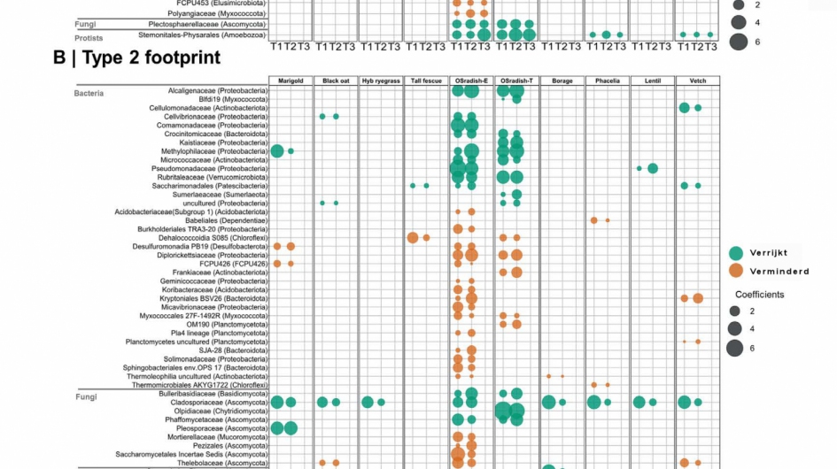 Deze tabel laat zien wat het effect is van verschillende groenbemesters op het microbioom, ook wel een footprint genoemd. De groene kleur geeft een verrijking aan van de bacterie- of schimmelfamilie. De oranje kleur geeft een onderdrukking aan van de schimmel- of bacteriefamilie.  